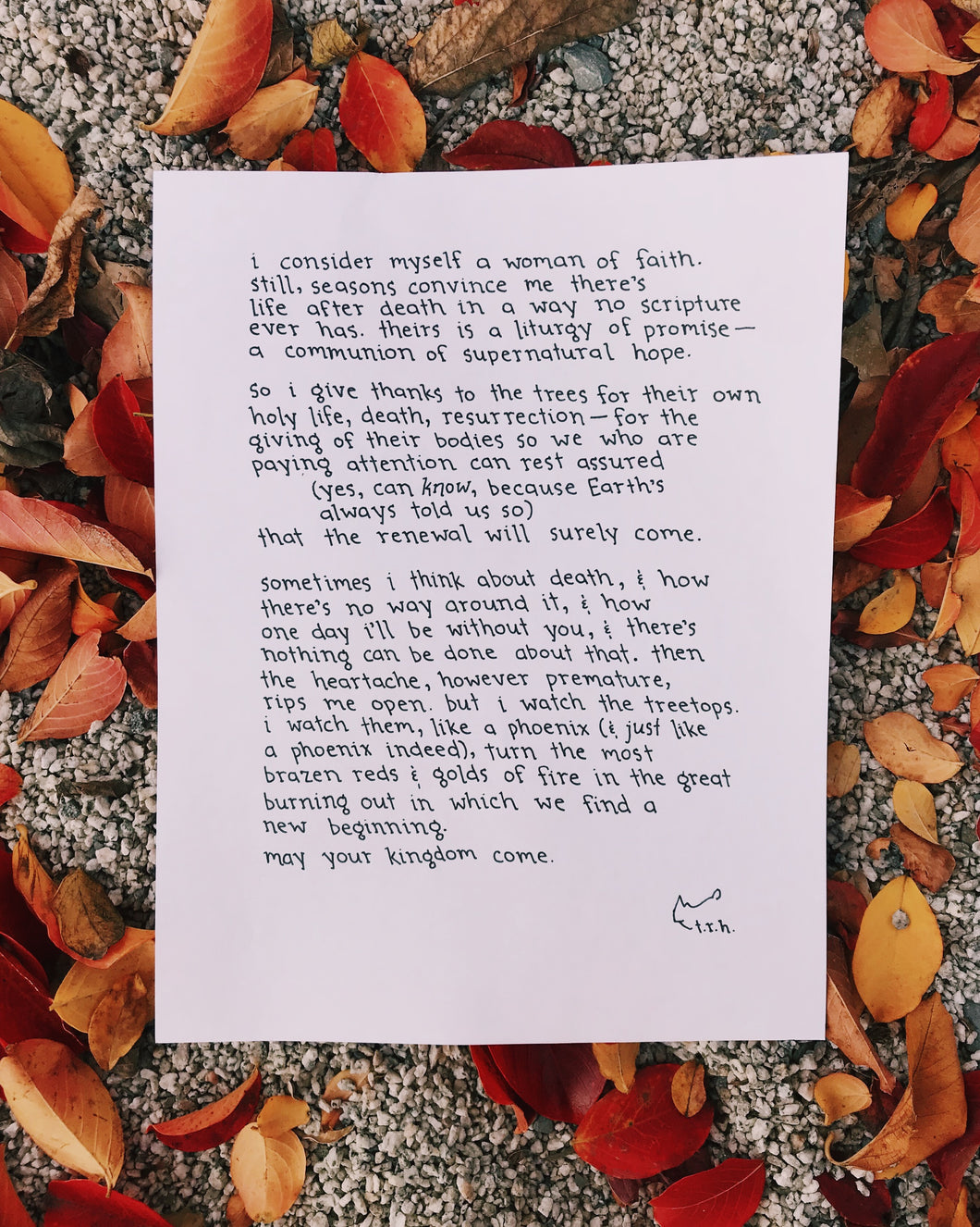 A Prayer to the Trees // Poem